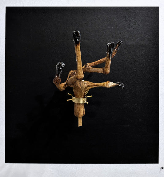 Hand of Glory by Heiko Greb