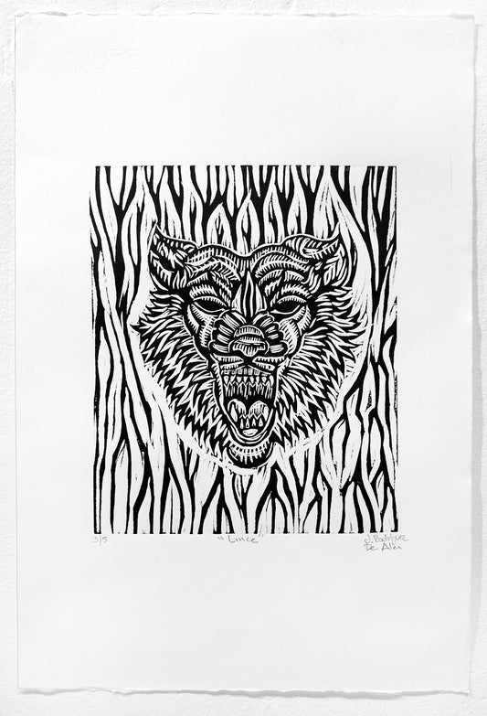 Lince by Jhovany De Ala