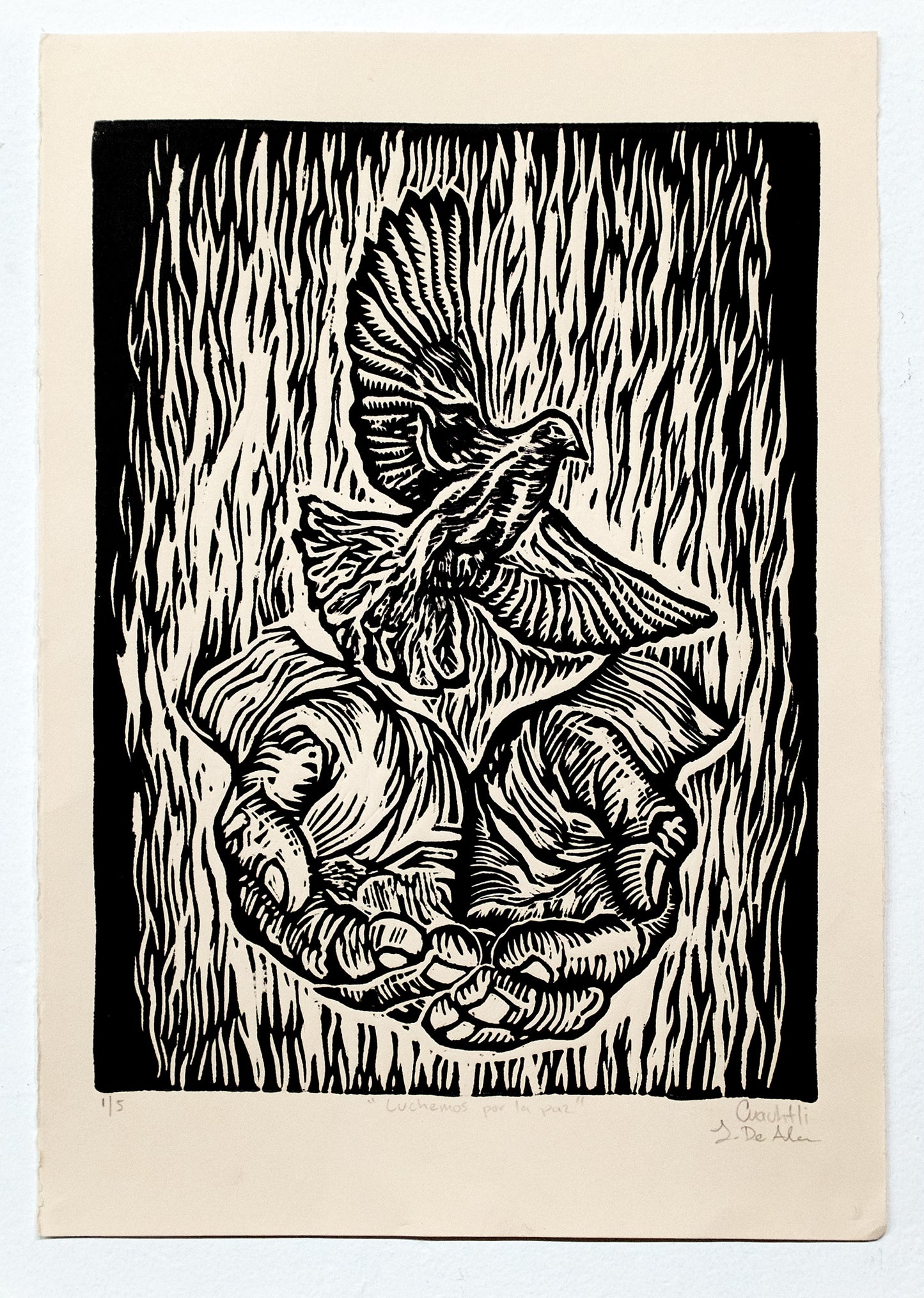 Luchemos Por La Paz by Jhovany De Ala