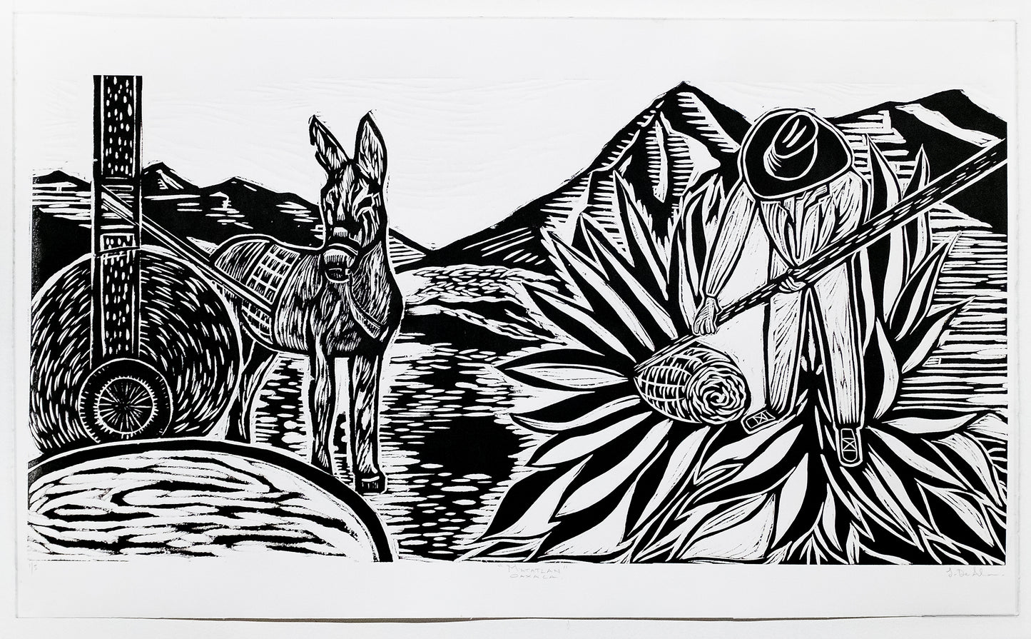 Matatlan, Oaxaca by Jhovany De Ala