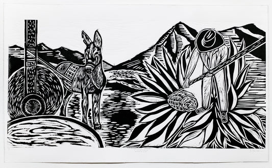 Matatlan, Oaxaca by Jhovany De Ala