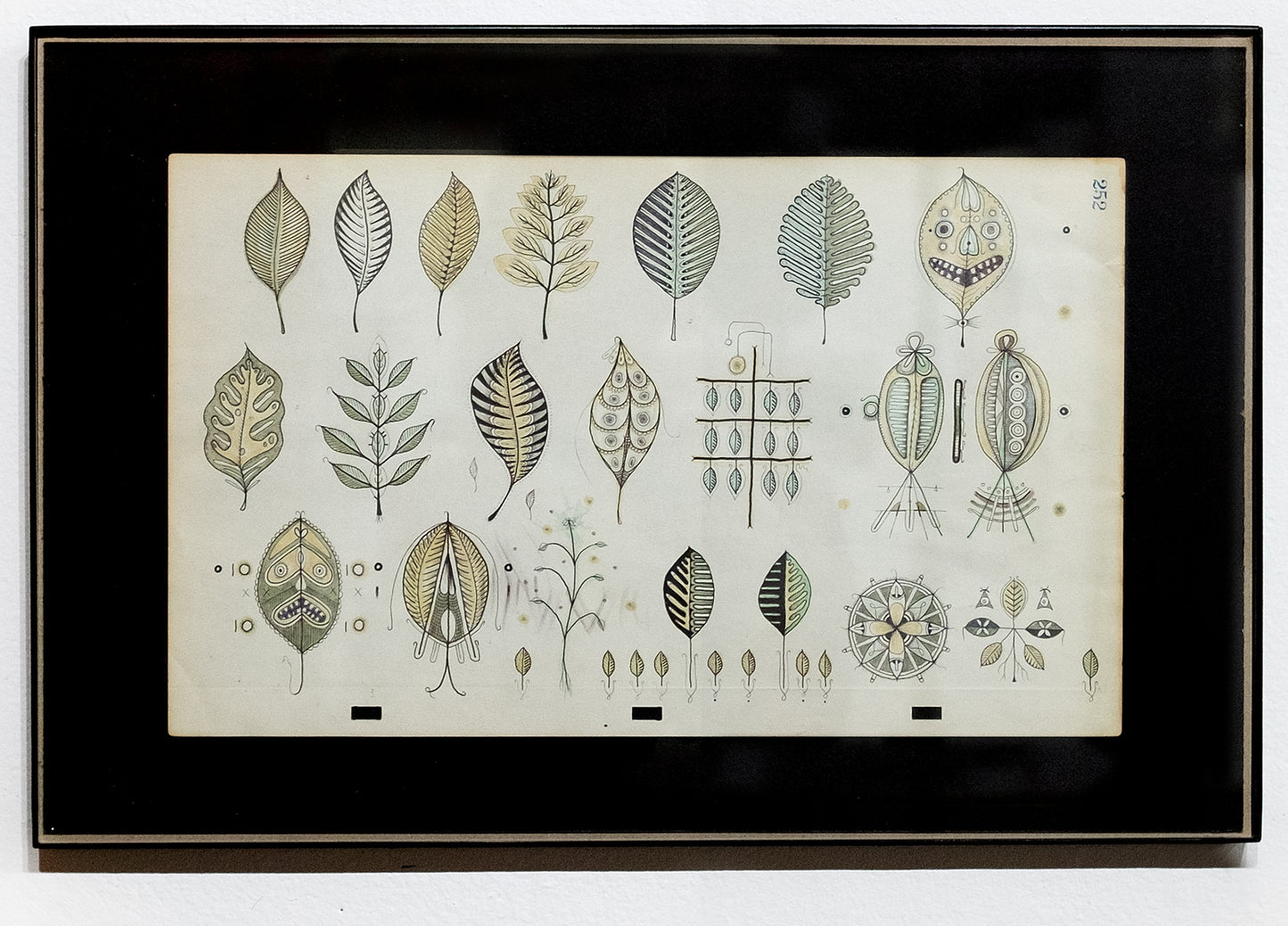 Leaf Songs by Jeremiah Maddock