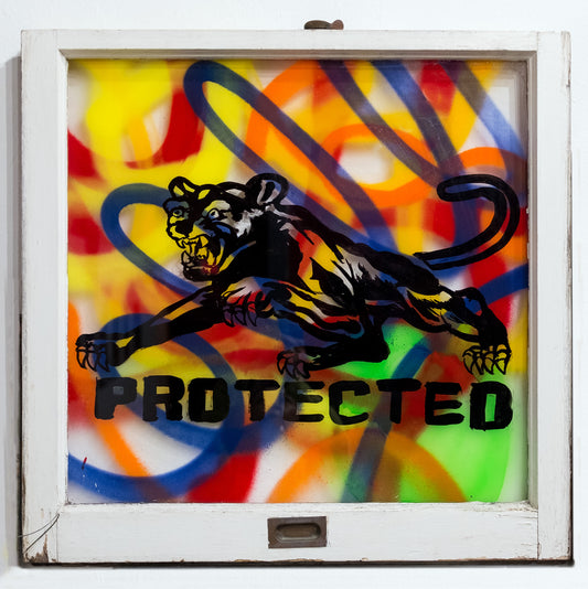 Protected by Navin Norling