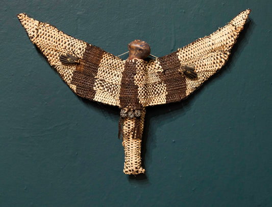 The One who Travels with the Bird-Soul by Céline Lyaudet