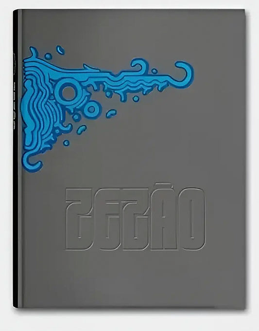 25 years of Zezao _ Invisible Spaces Book