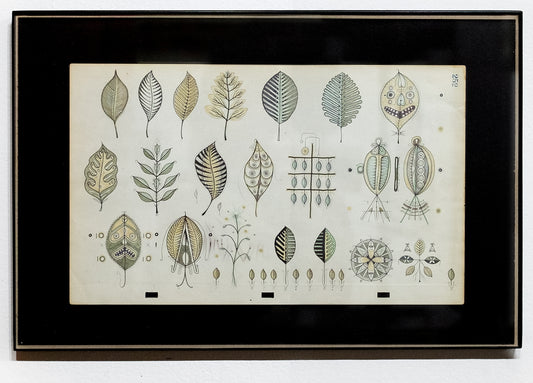 Leaf Songs by Jeremiah Maddock